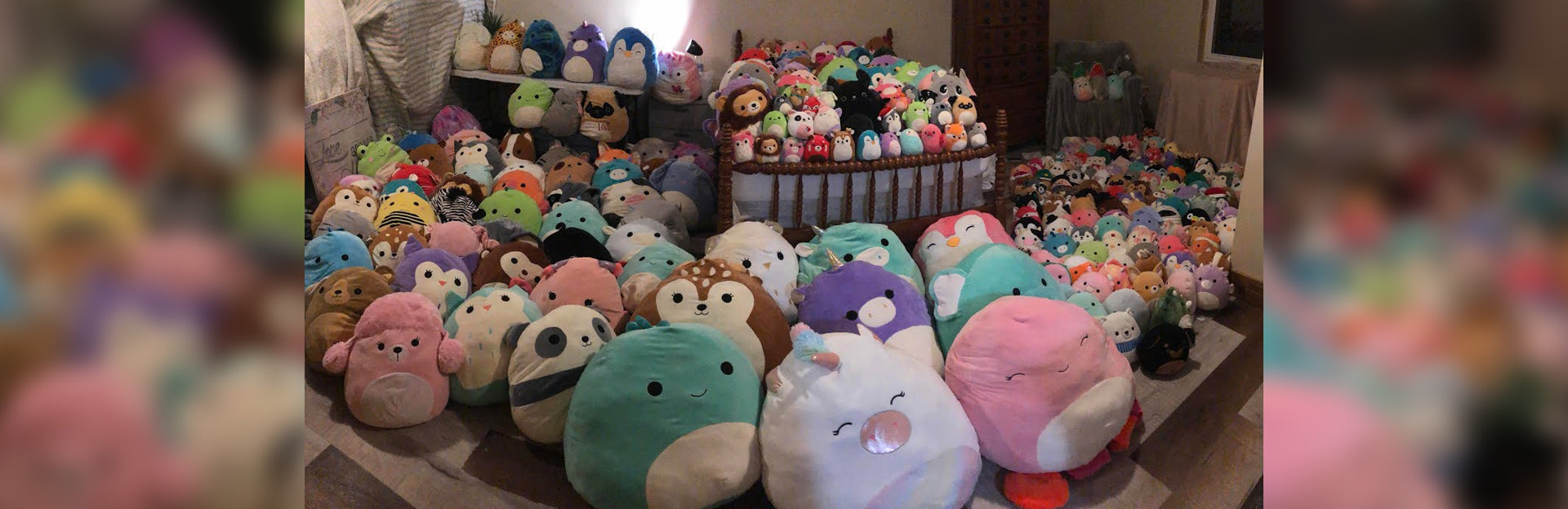 http://www.toynk.com/cdn/shop/articles/What-is-a-Squishmallow.jpg?v=1645862887