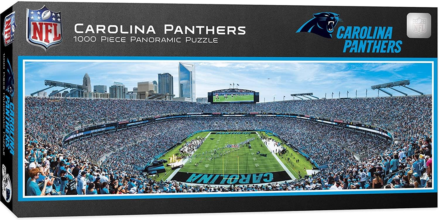 Carolina Panthers Stadium Pin