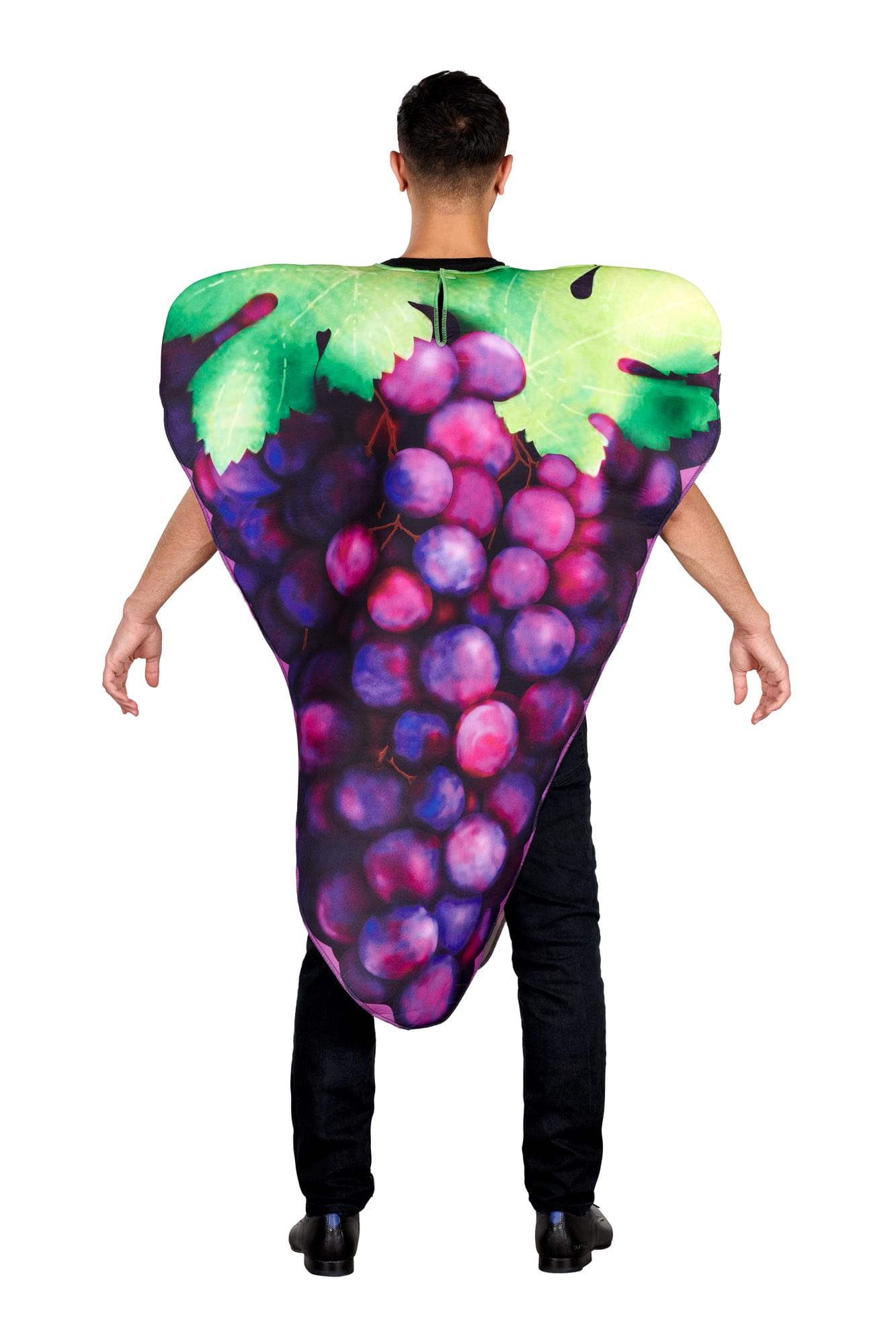 Grapes Costume Rental in Udaipur | Fancyano