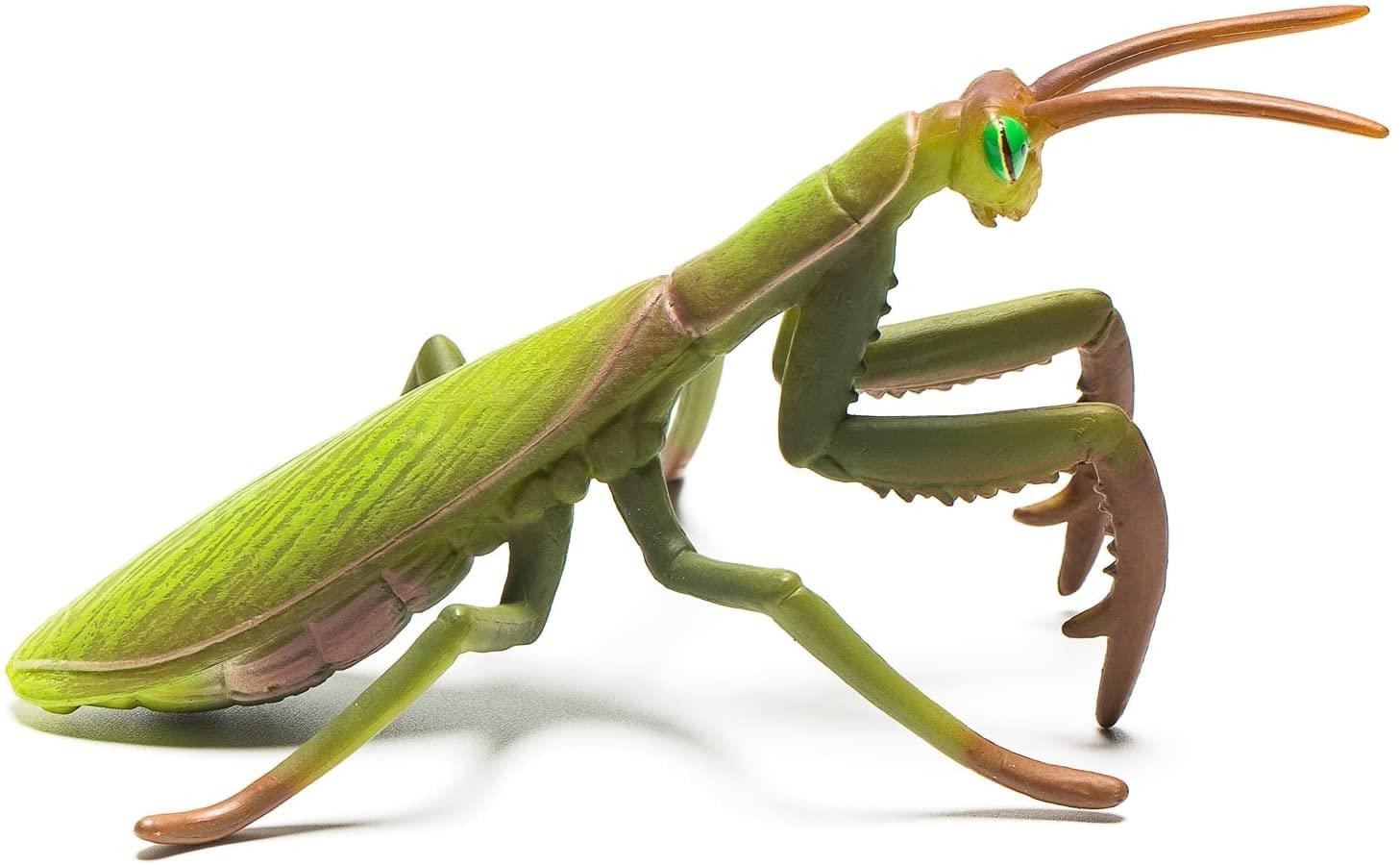 CollectA Insect Collection Miniature Figure | Praying Mantis