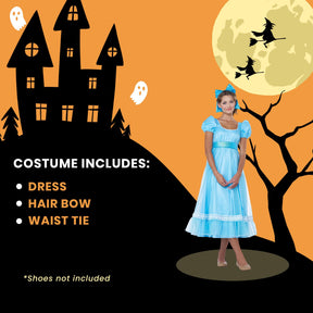 Disney Peter Pan Wendy Adult Costume