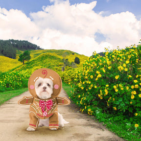 Gingerbread Pup Pet Costume