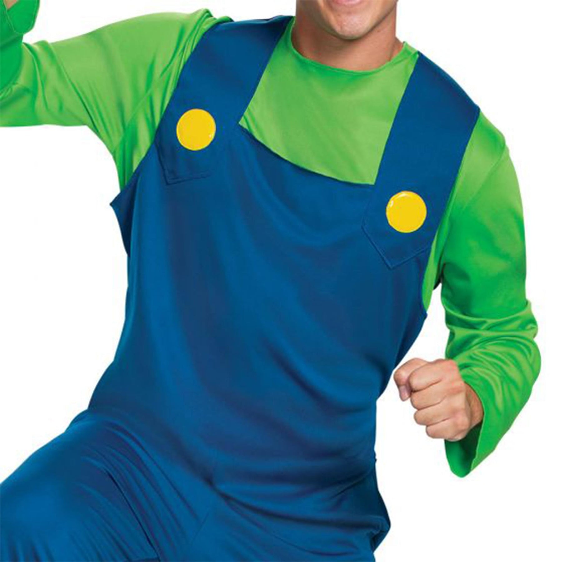 Super Mario Bros. Luigi Classic Adult Costume