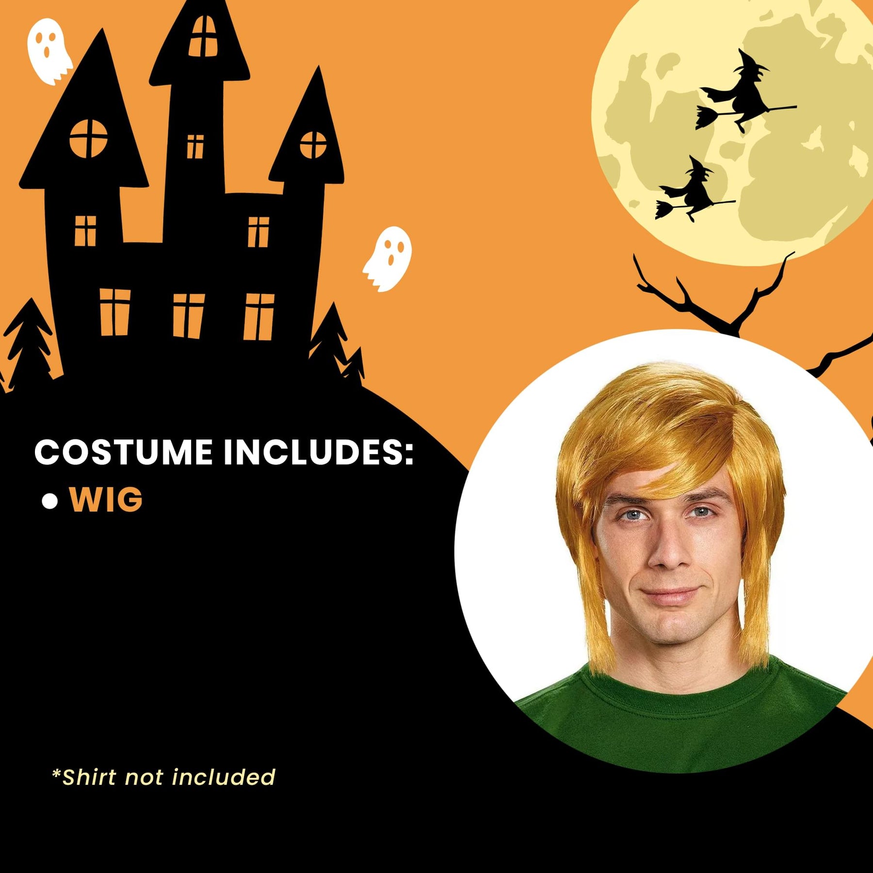 Legend of Zelda Link Adult Wig Costume Accessory