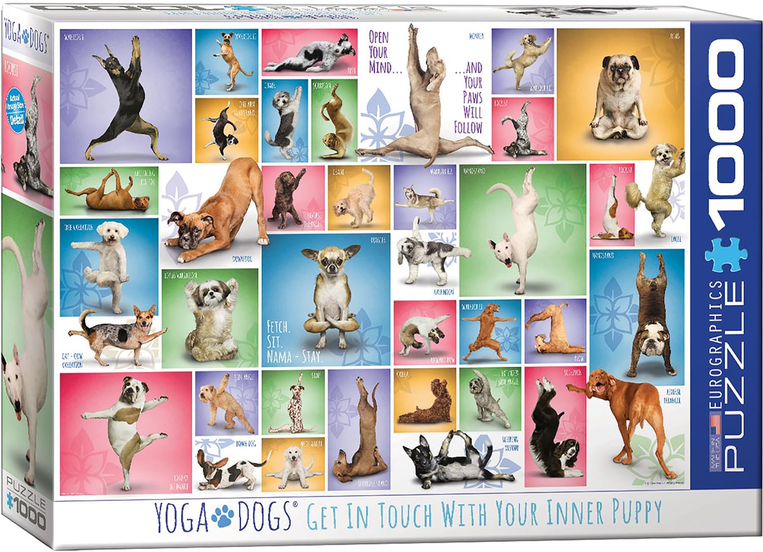 Yoga Dogs 1000 Piece Jigsaw Puzzle