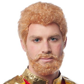 Prince Wig and Beard Adult Costume Accessories