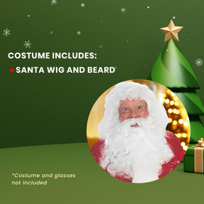 Santa Wig & Beard Professional Christmas Costume Accessory Set