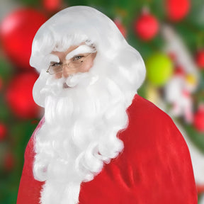 Santa Wig & Beard Costume Accessory