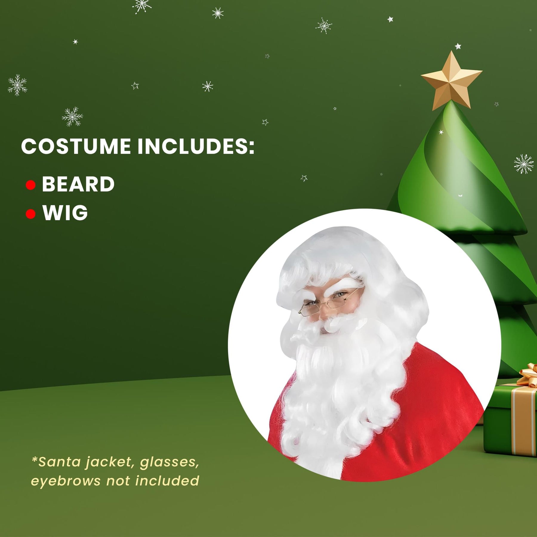 Santa Wig & Beard Costume Accessory