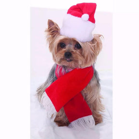 Santa Christmas Pet Costume