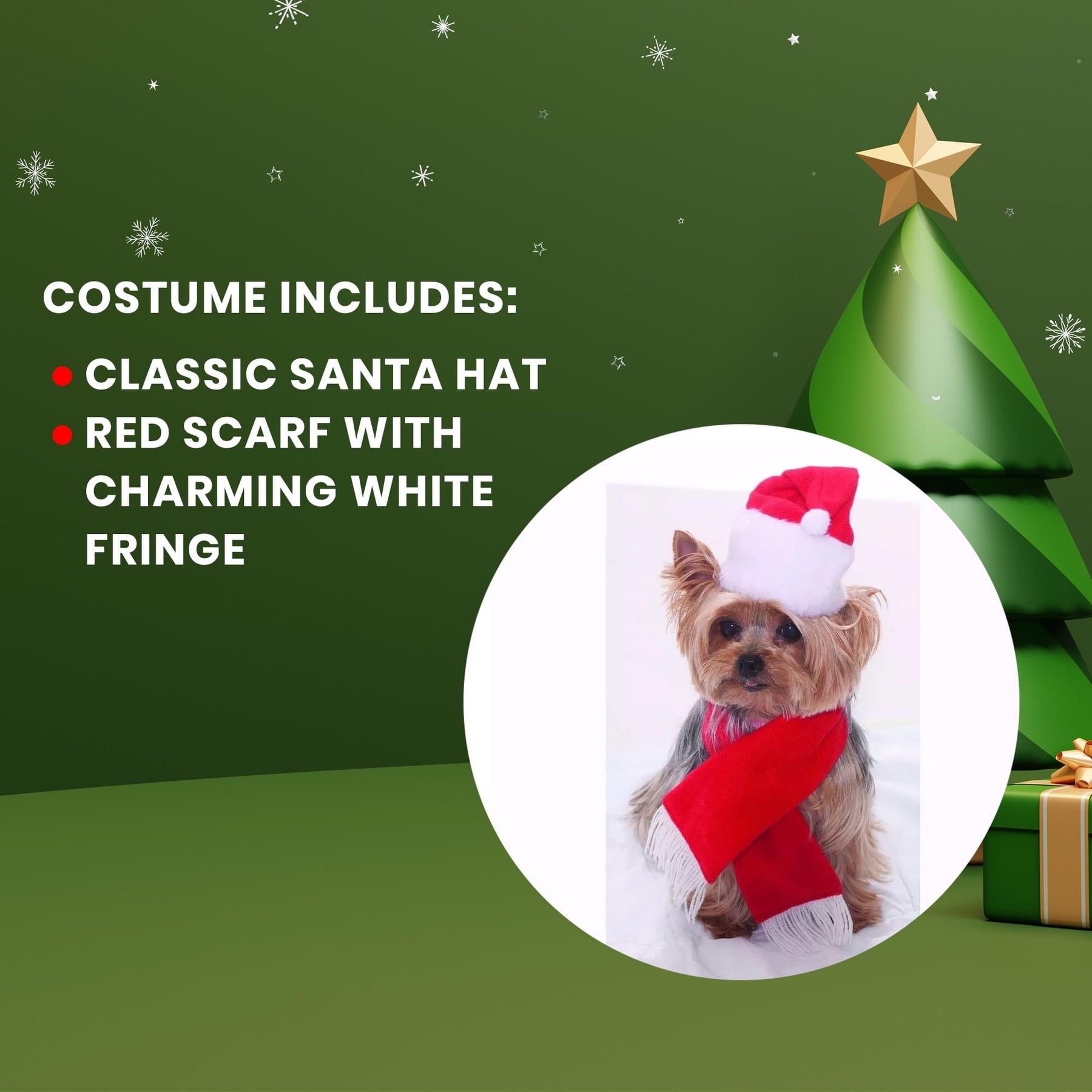 Santa Christmas Pet Costume