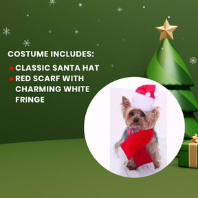 Santa Christmas Pet Costume