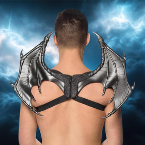 Supersoft Mini Dragon Wings Child Costume Accessory