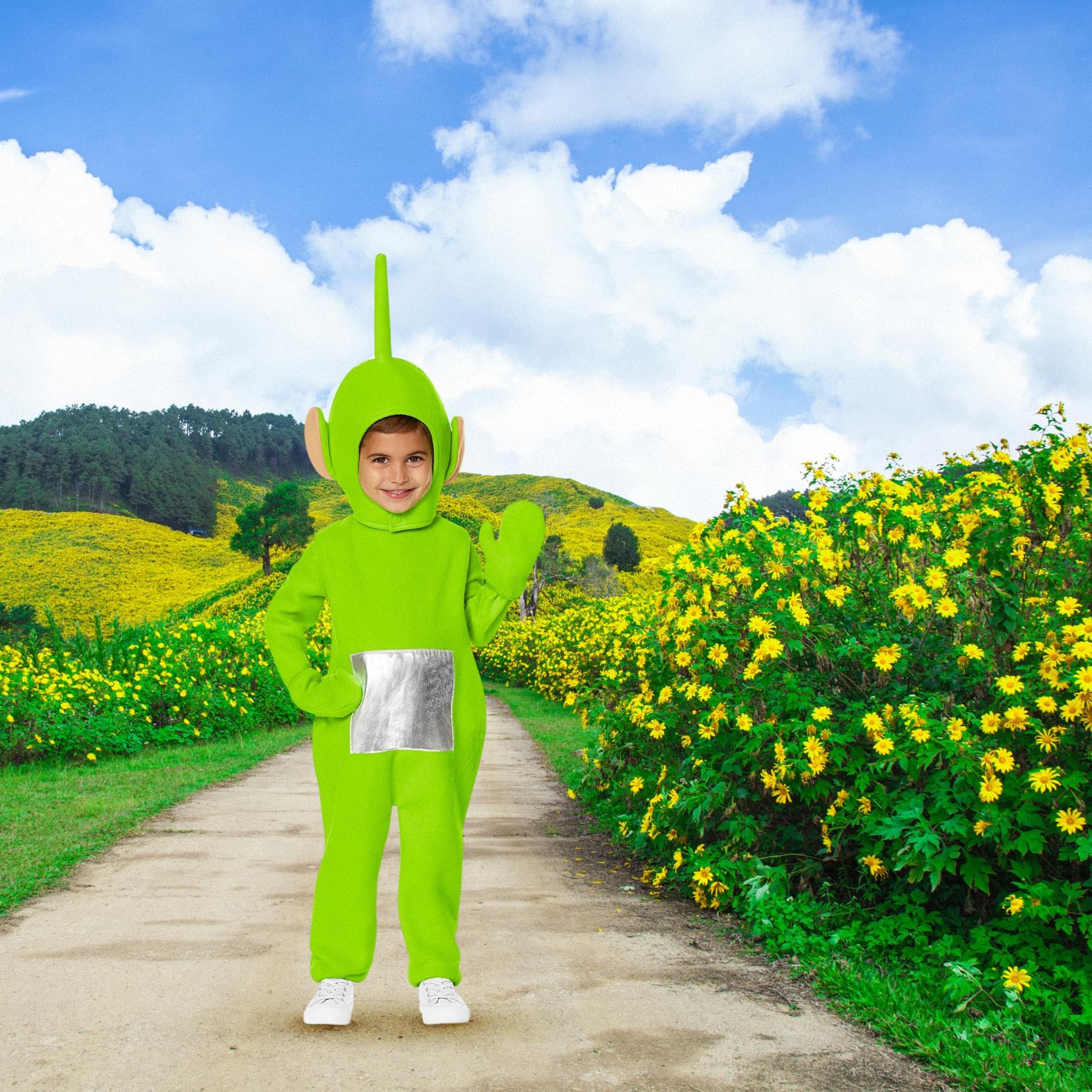 Teletubbies Dipsy Toddler Costume