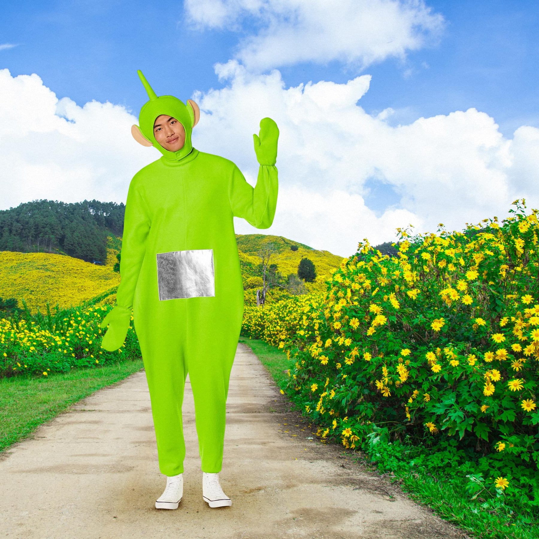 Teletubbies Dipsy Adult Costume