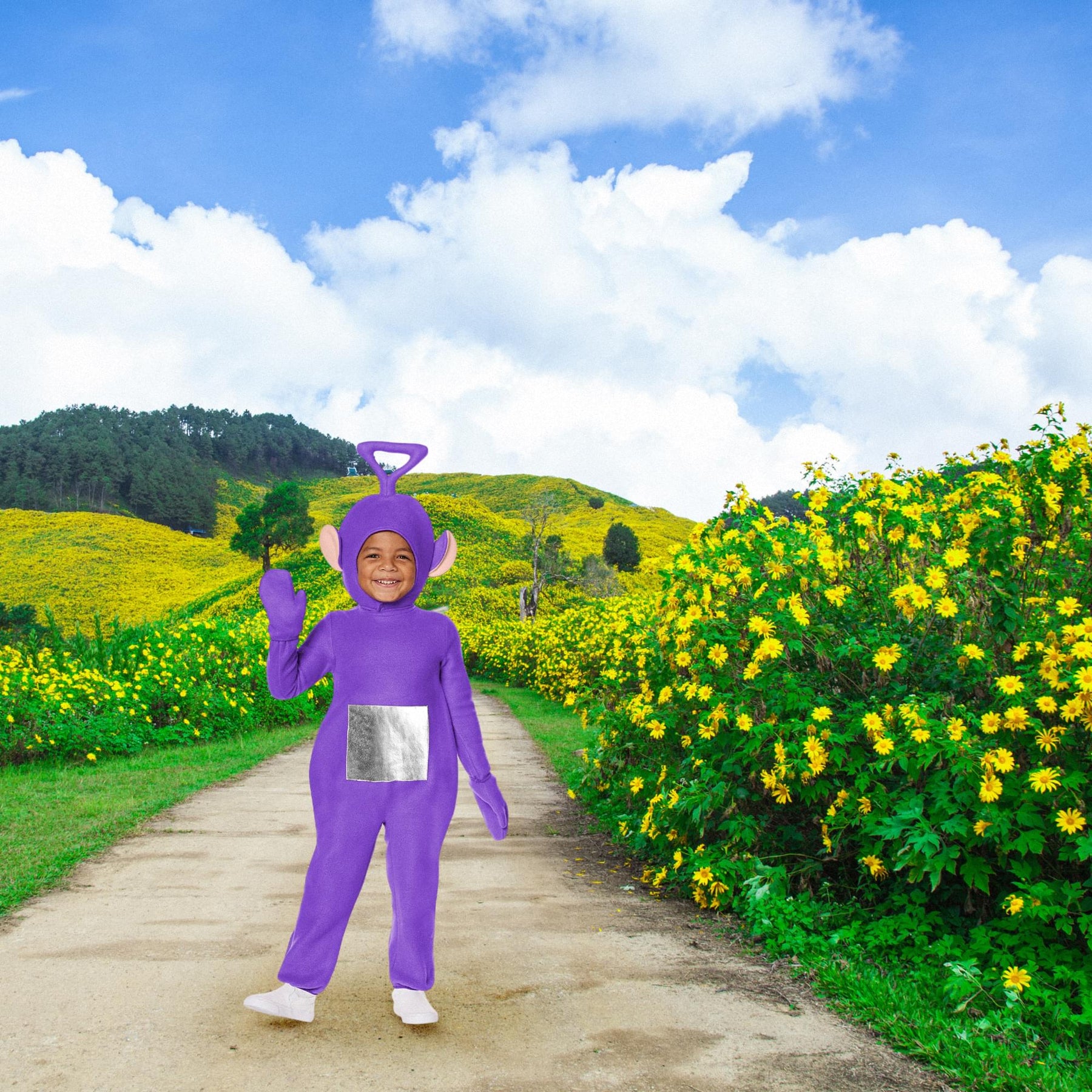 Teletubbies Tinky Winky Toddler Costume