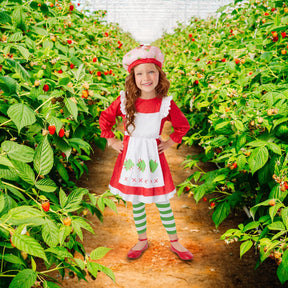 Strawberry Shortcake Toddler Costume