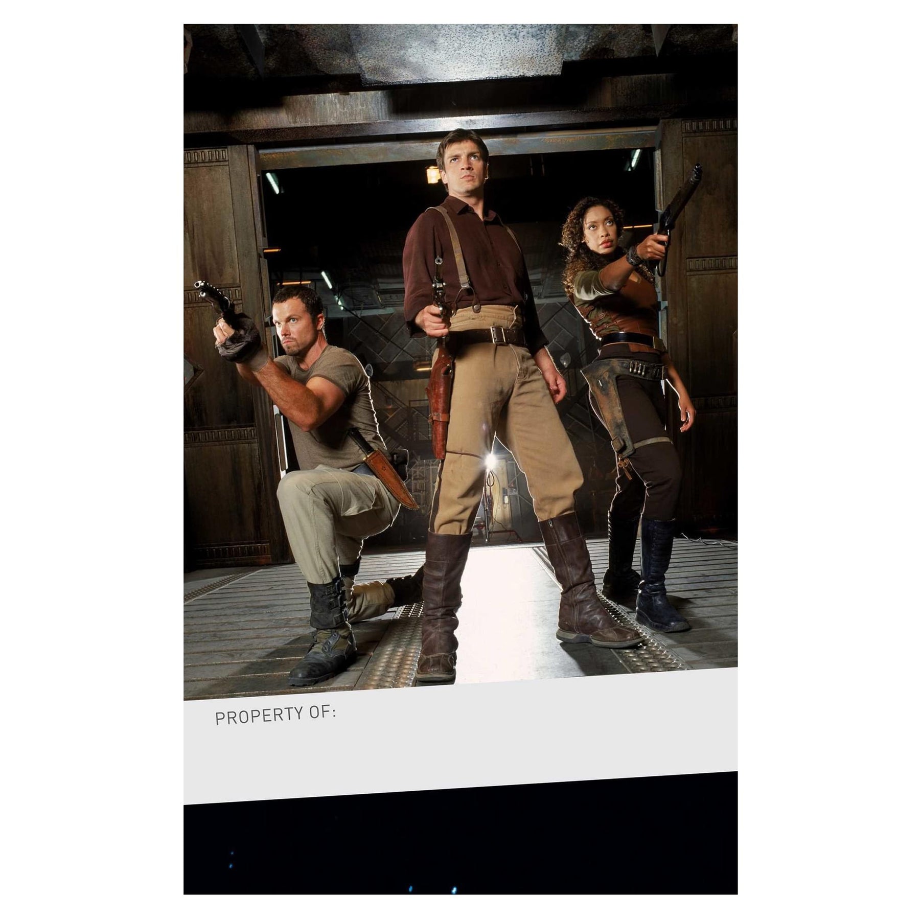 Firefly Hardcover Ruled Journal | 192 Pages