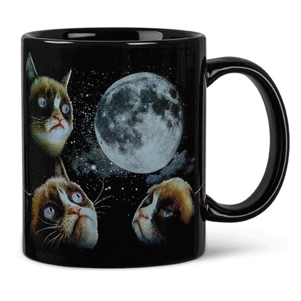 Grumpy Cat Fan Bundle: Mug, Pint Glass, Shot Glass, Wristband