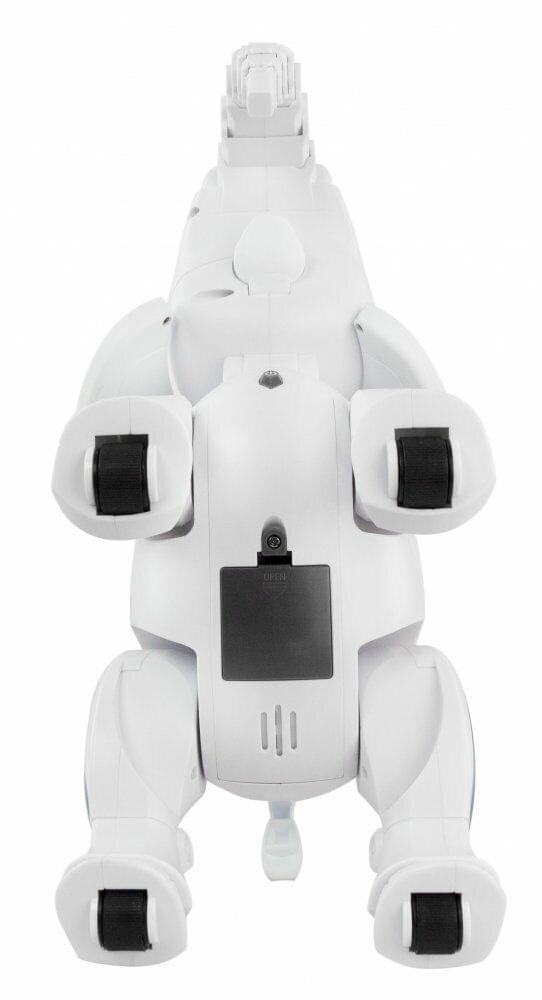 Codo Programming Robotic Elephant