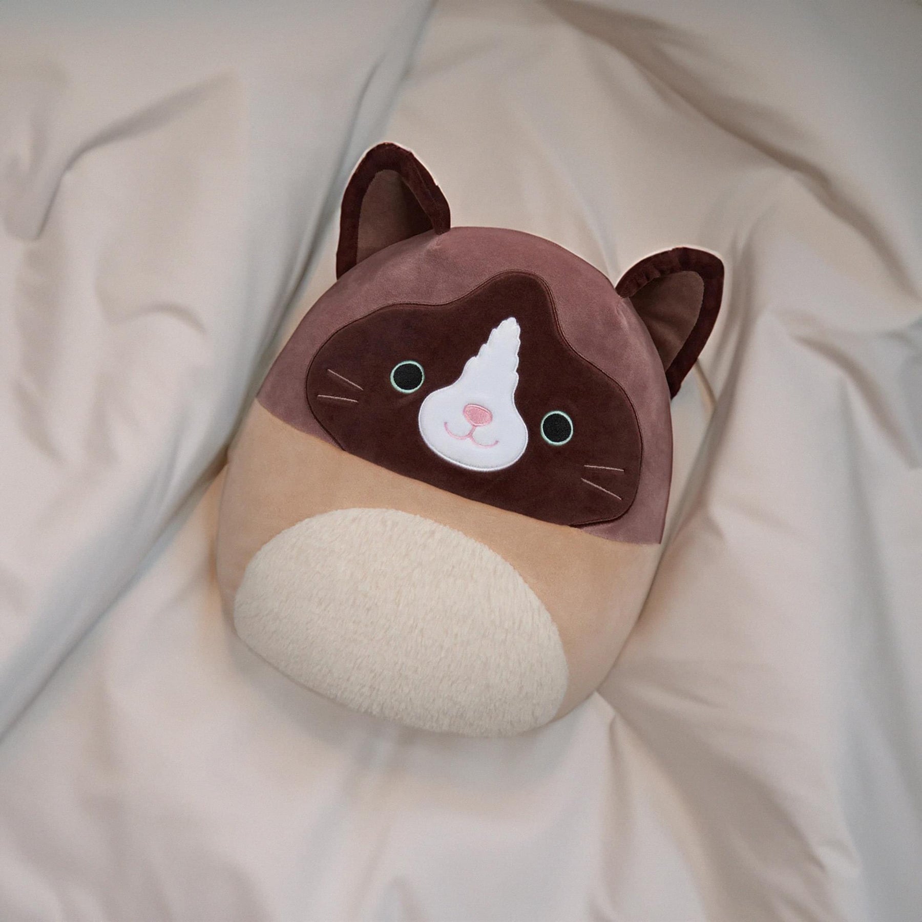 Squishmallow 12 Inch Plush | Woodward the Brown and Tan Snowshoe Cat