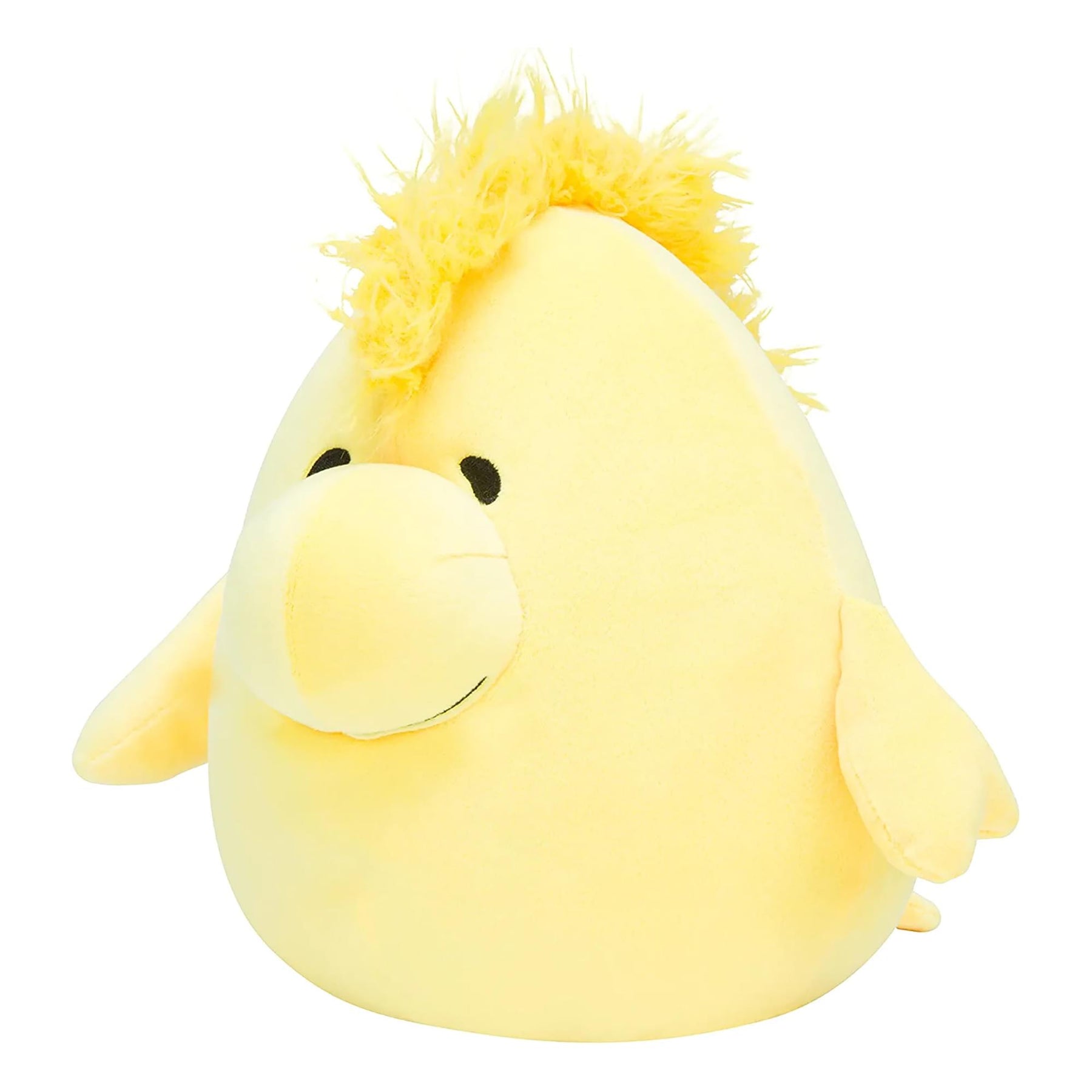 Peanuts Squishmallow 10 Inch Plush | Woodstock