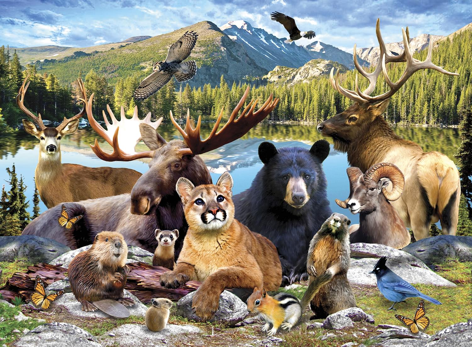 Wildlife of Rocky Mountain National Park 100 Piece Jigsaw Puzzle