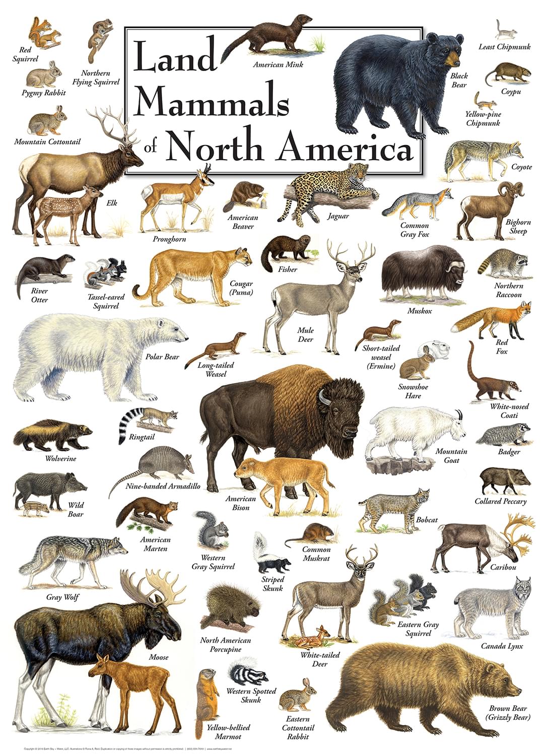 Land Mammals of North America 1000 Piece Linen Jigsaw Puzzle