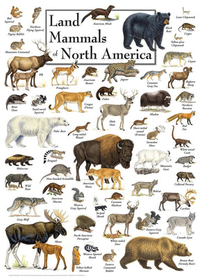 Land Mammals of North America 1000 Piece Linen Jigsaw Puzzle