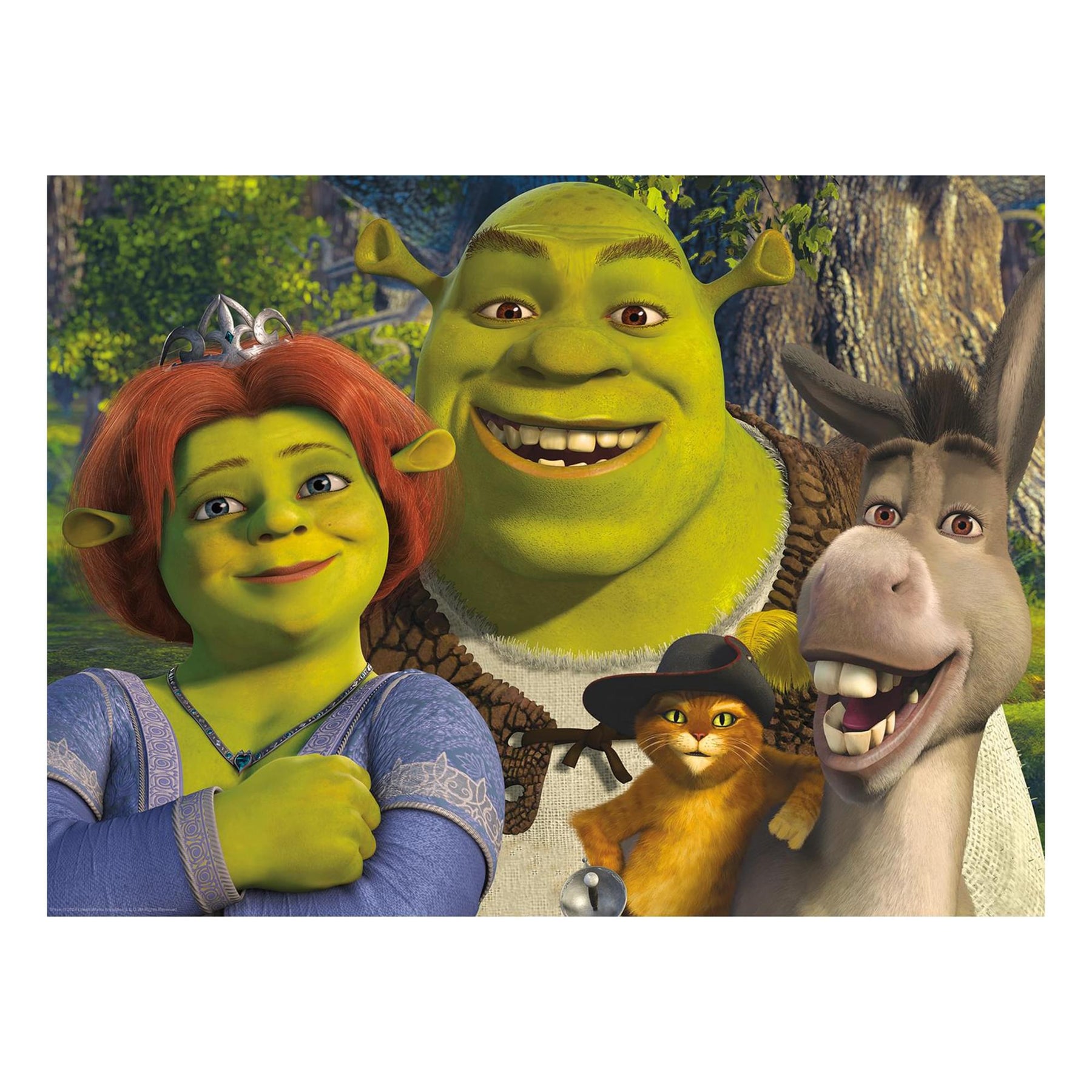 Shrek Family 500 Piece Jigsaw Puzzle