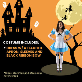 Traditional Alice Adult Costume Small