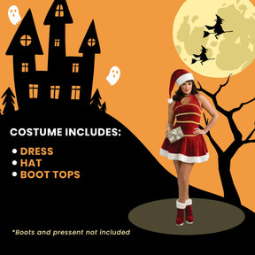 Sexy Female Santa Christmas Dress Adult Plus Costume