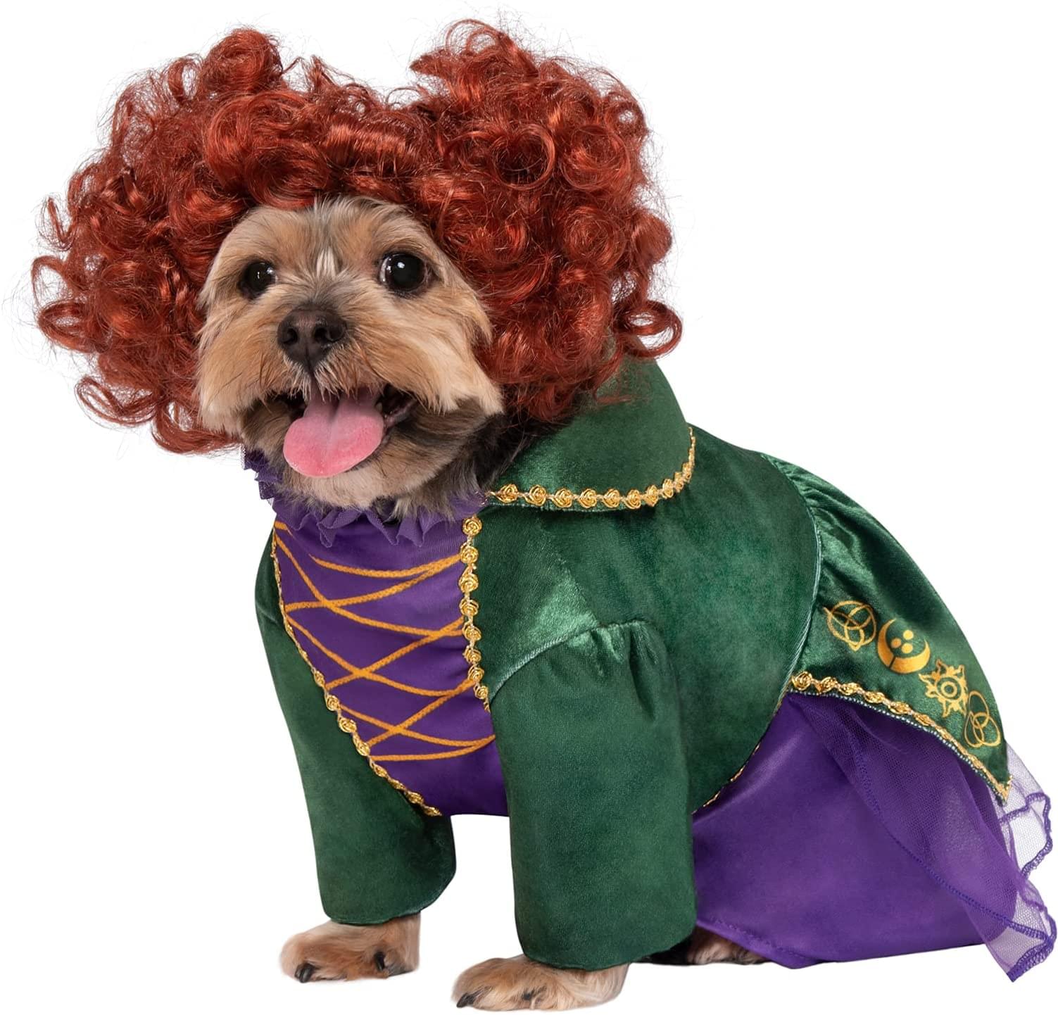 Hocus Pocus Winifred Pet Costume