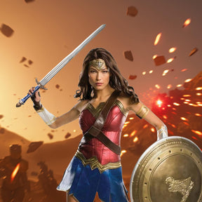 Dawn Of Justice Wonder Woman Costume Sword Adult One Size