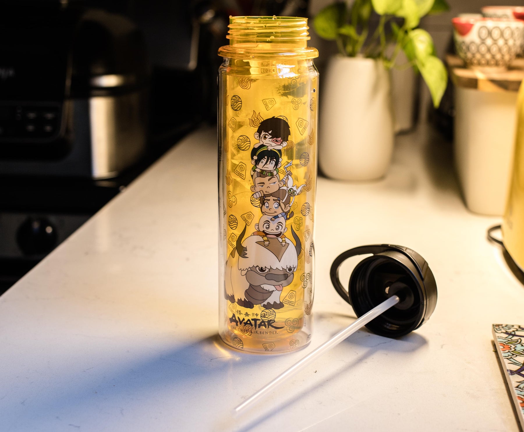 Avatar: The Last Airbender Characters Water Bottle | Holds 16 Ounces