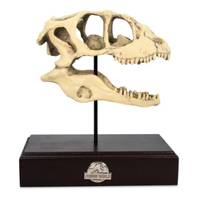 Jurassic World Velociraptor Skull Paperweight Replica | 8 Inches Tall