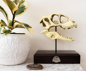 Jurassic World Velociraptor Skull Paperweight Replica | 8 Inches Tall