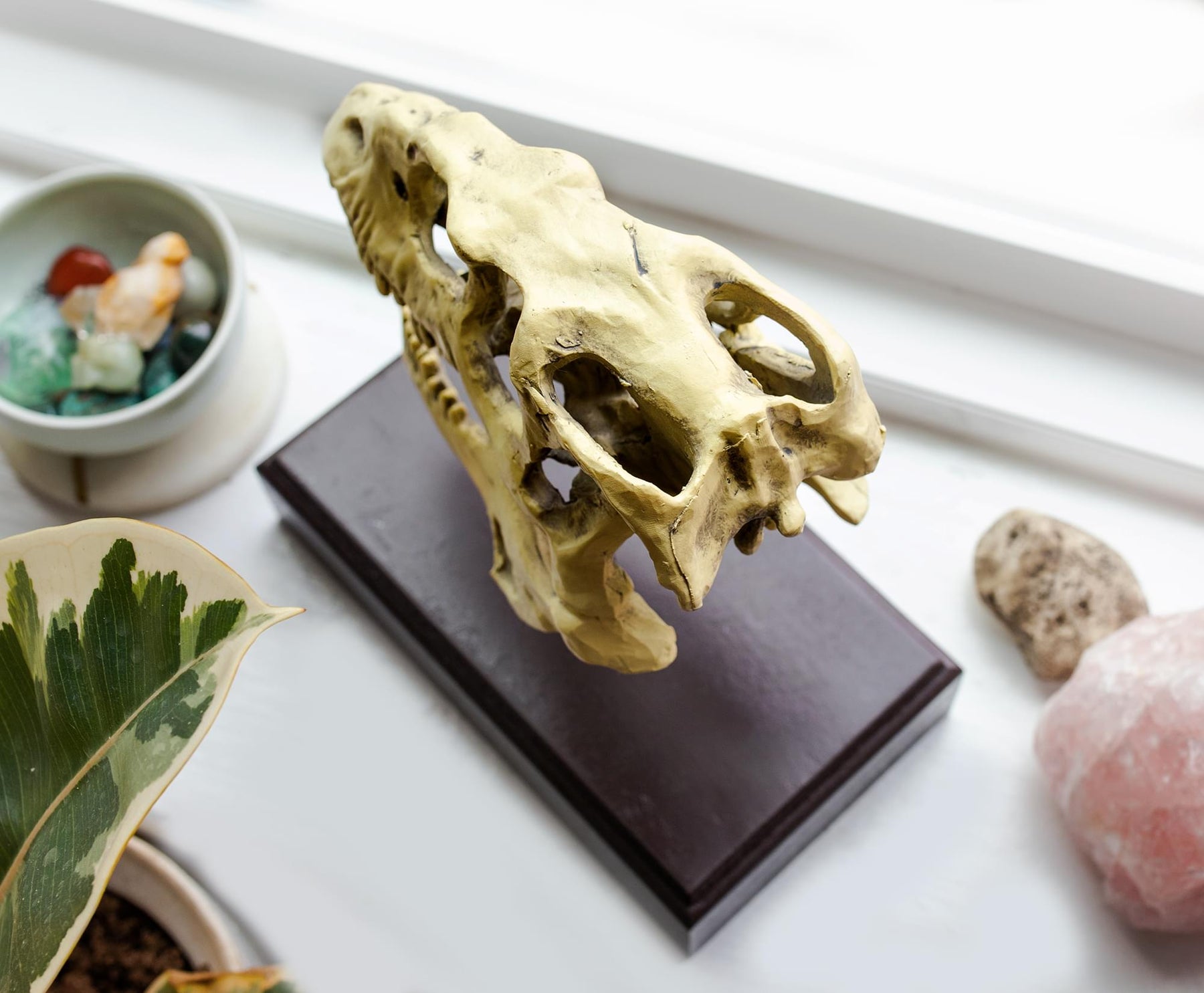 Jurassic World Velociraptor Skull Paperweight Replica | 8 Inches Tall