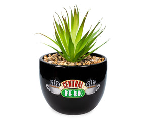 Friends Central Perk Logo Large 7.75 x 4.75 Inch Ceramic Planter