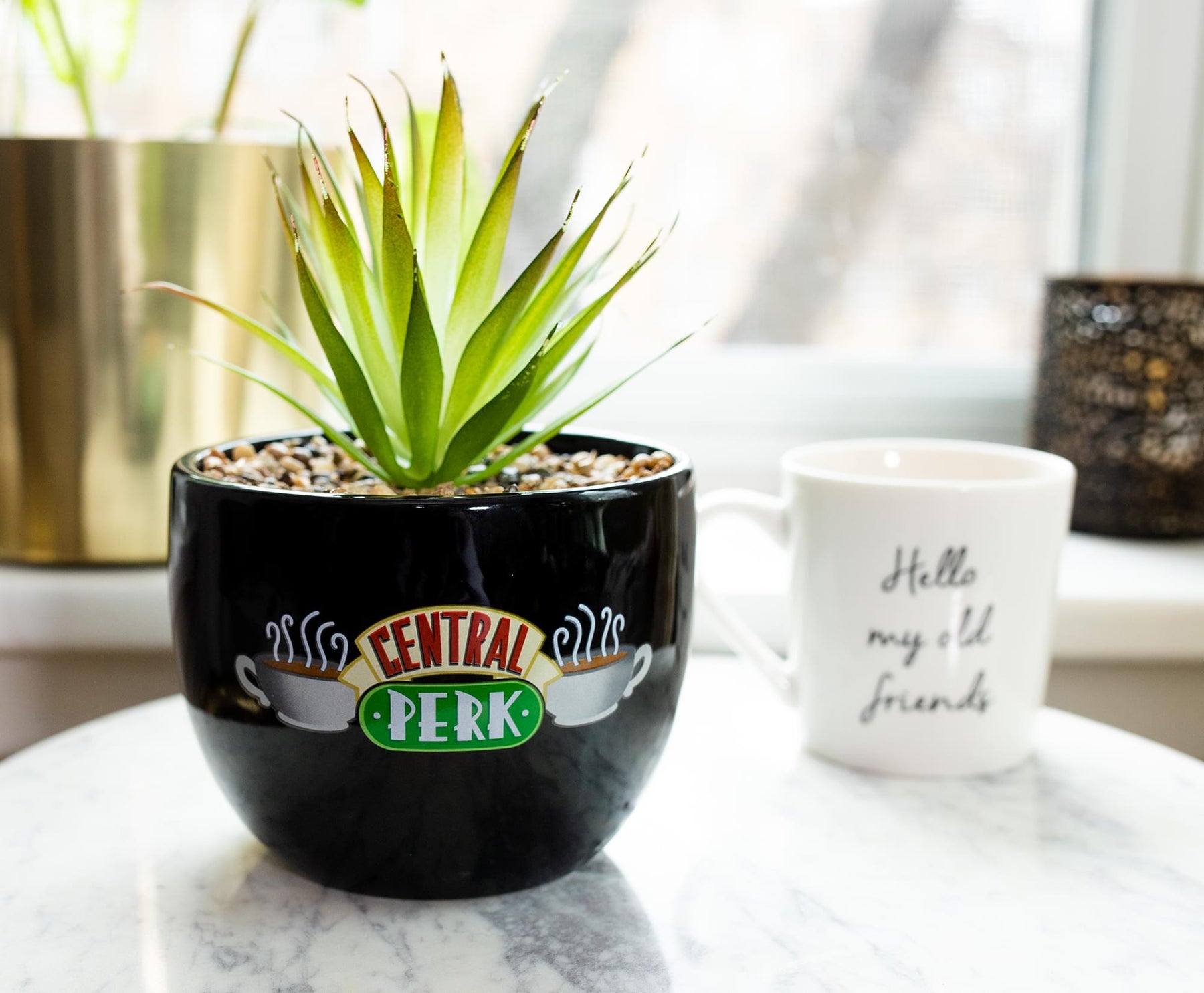 Friends Central Perk Logo Large 7.75 x 4.75 Inch Ceramic Planter