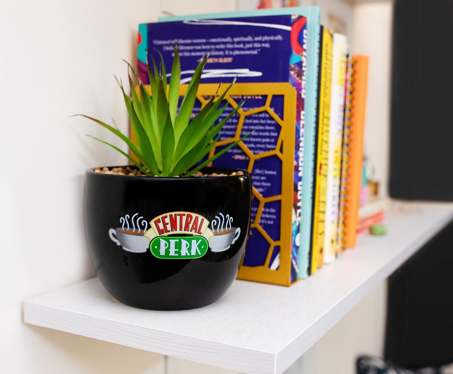 Friends Central Perk Logo Large 7.75 x 4.75 Inch Ceramic Planter