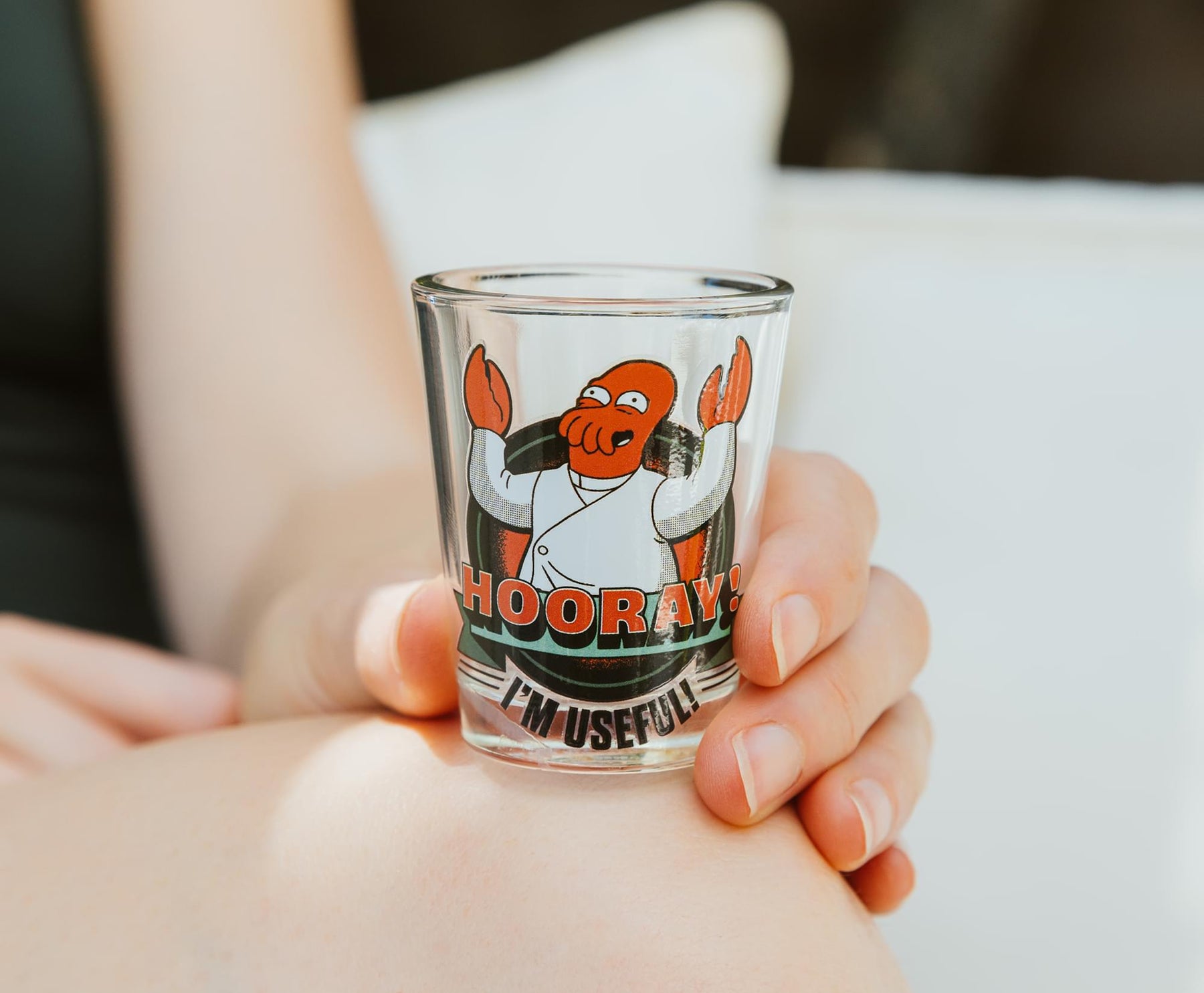 Futurama Character Quotes 4-Piece Shot Glass Set | Each Holds 2 Ounces