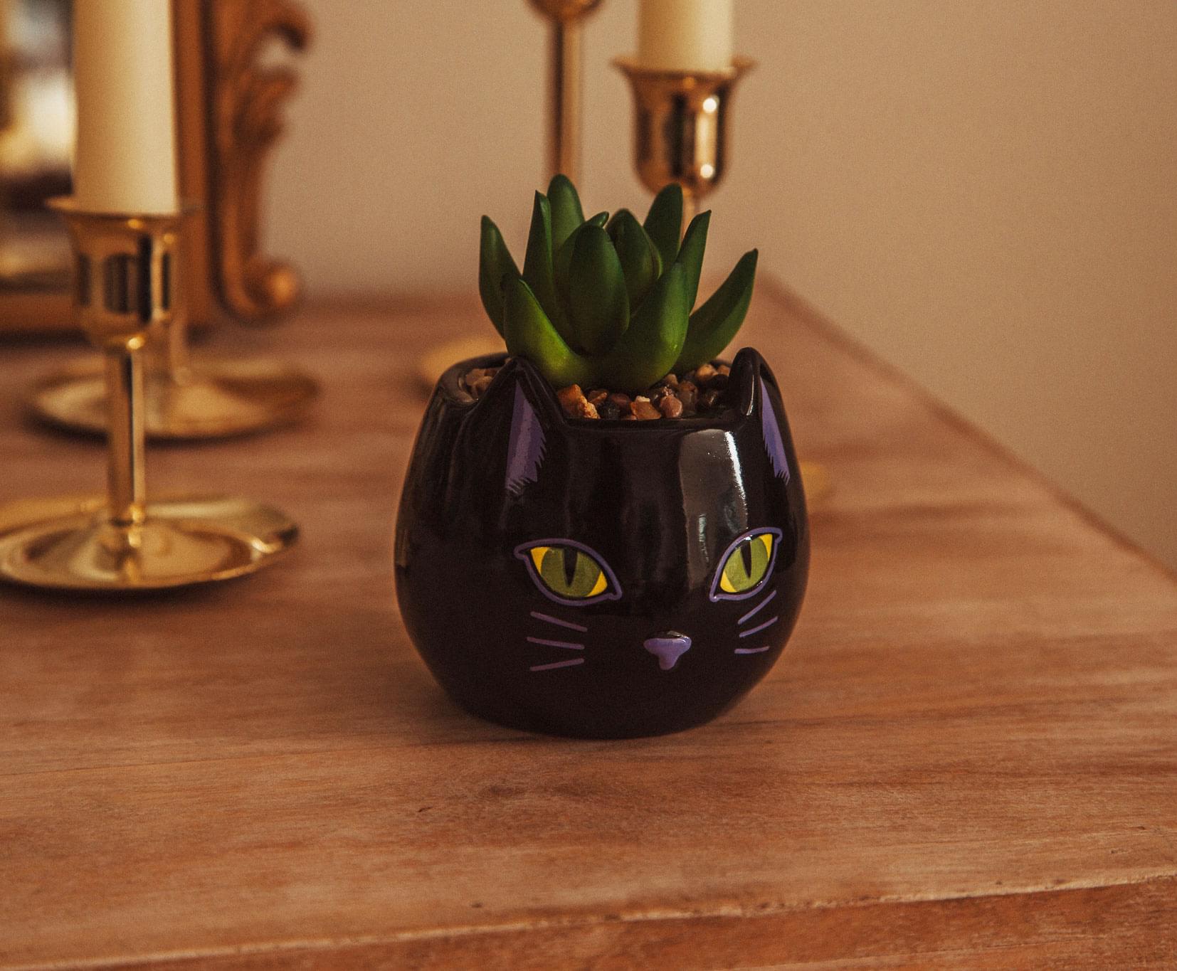 Disney Hocus Pocus "Binx Is My Boo" Ceramic Planter with Artificial Succulent