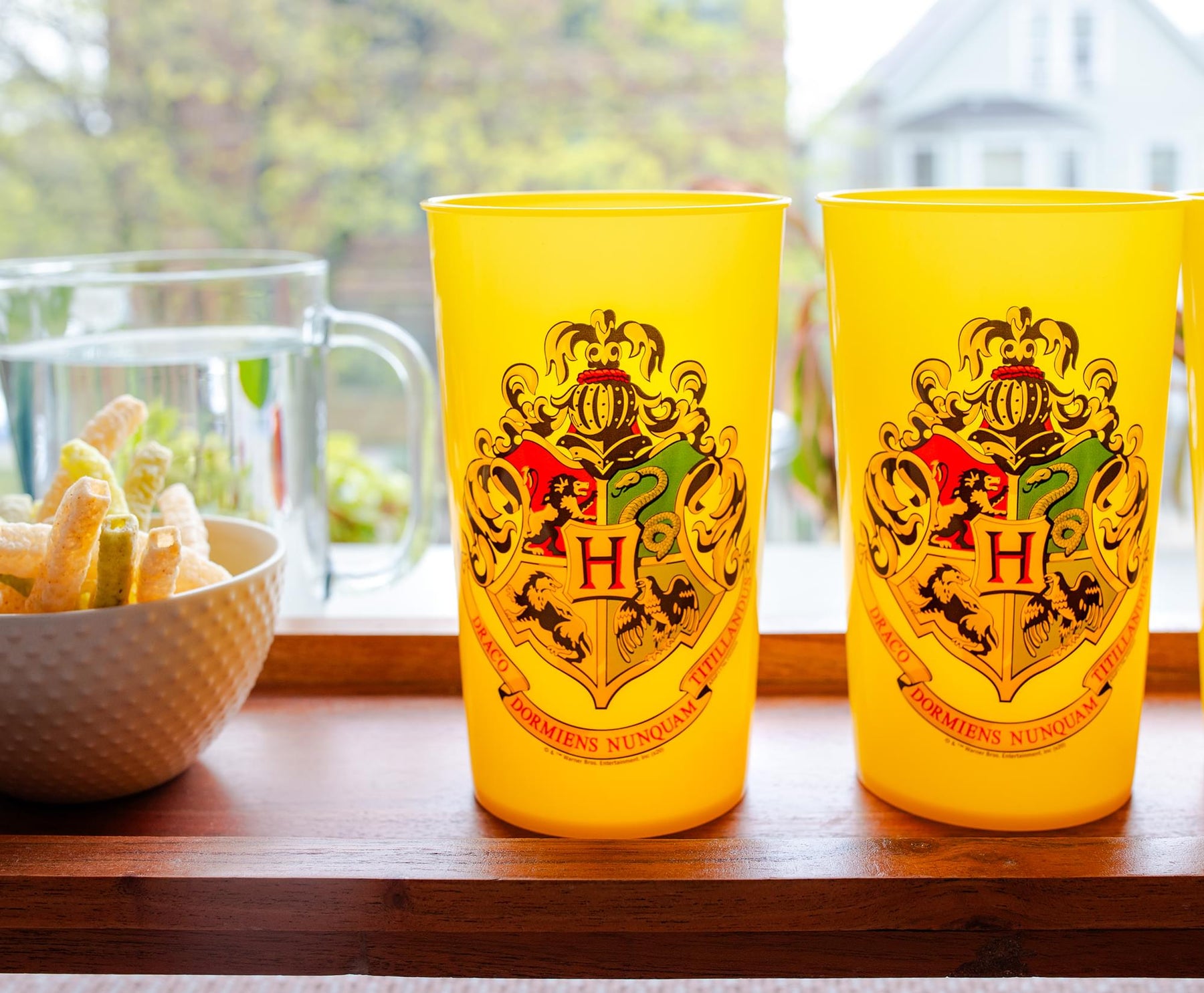 Harry Potter Hogwarts 20-Ounce Plastic Color-Changing Cups | Set of 4