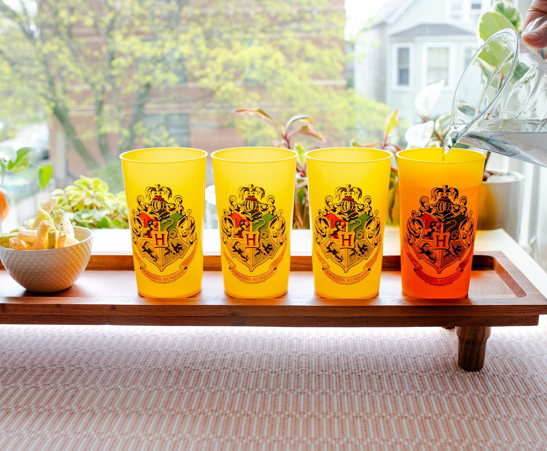 Harry Potter Hogwarts 20-Ounce Plastic Color-Changing Cups | Set of 4