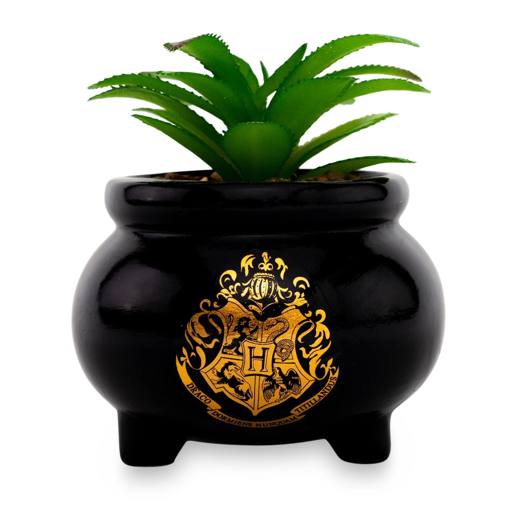 Harry Potter Hogwarts Cauldron Ceramic Mini Planter With Artificial Succulent