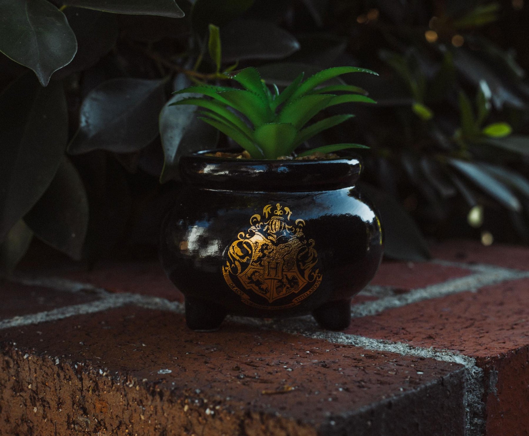 Harry Potter Hogwarts Cauldron Ceramic Mini Planter With Artificial Succulent