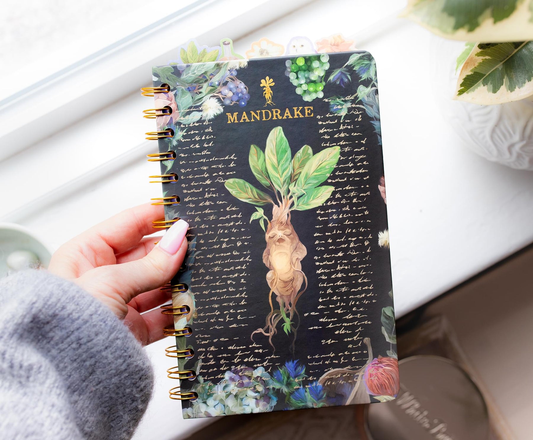 Harry Potter Mandrake Floral 5-Tab Spiral Notebook Journal