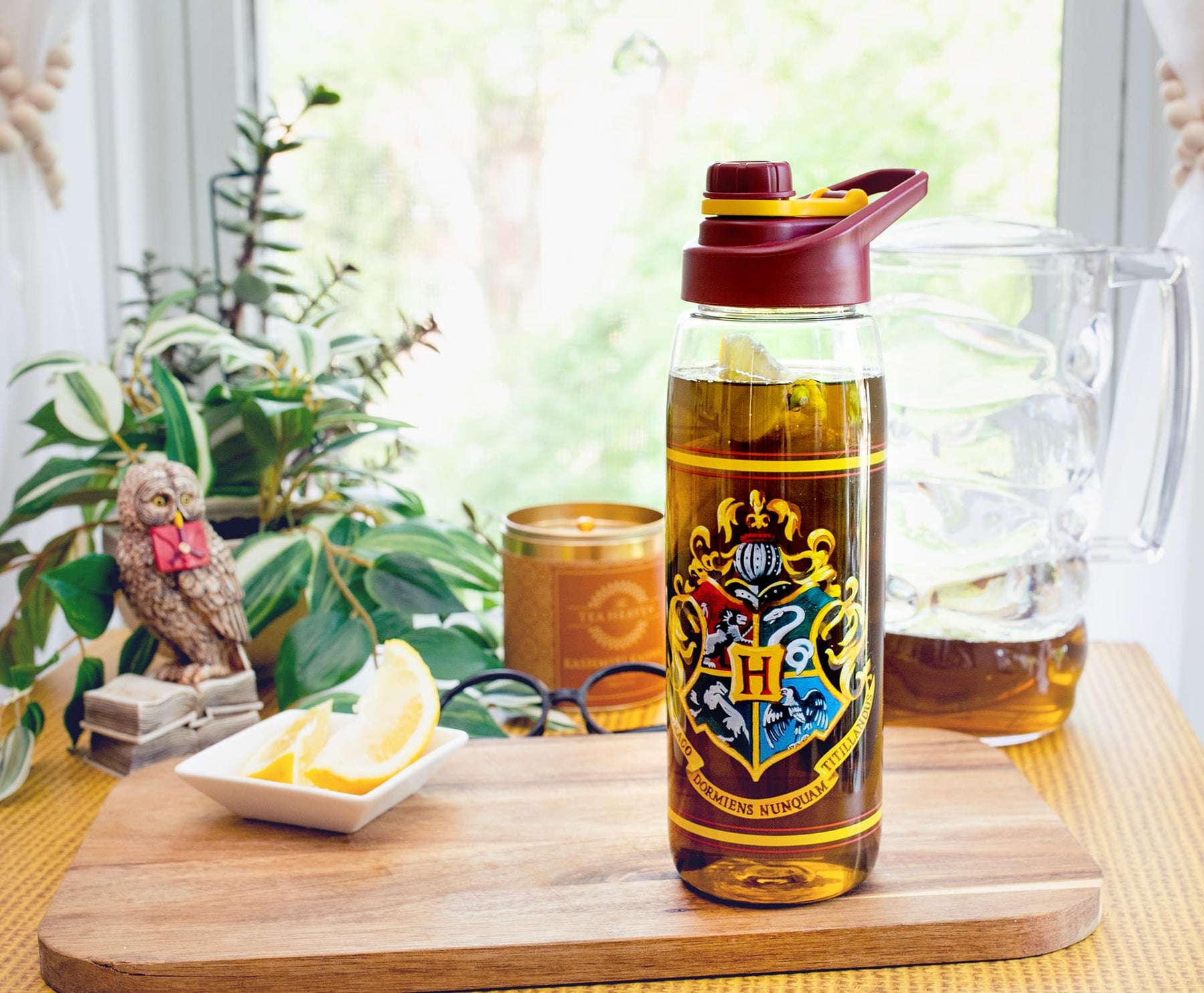 Harry Potter Hogwarts Anime Water Bottle With Screw-Top Lid Holds