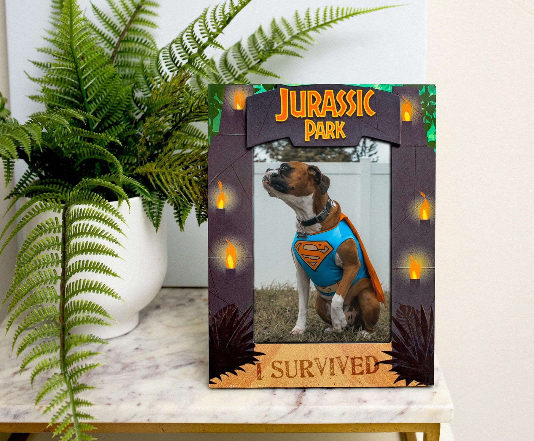 Jurassic Park "I Survived" Die-Cut Photo Frame | Holds 4 x 6 Inch Photos